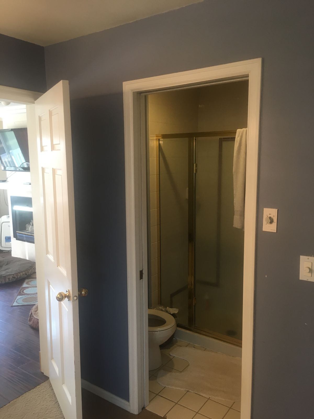 Original master bathroom entry and stall shower before remodel